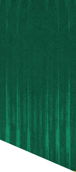 A green and white patterned background. Description generated by AI