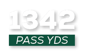 pass YDS,134