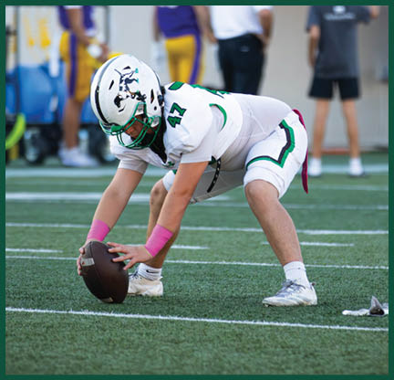 A football player is kicking a football. Description generated by AI