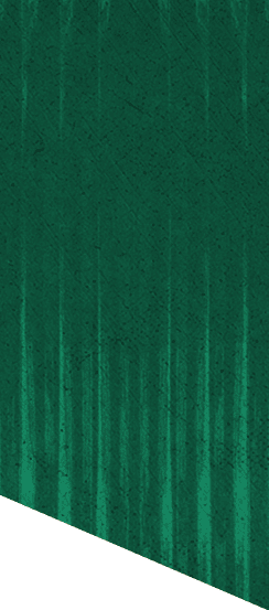 A green and white patterned background. Description generated by AI