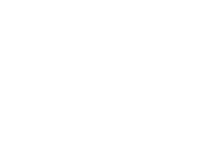 rush yds,17