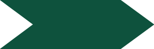 A red and black bird with a yellow beak. Description generated by AI