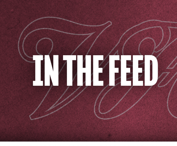 The text “IN THE FEED" is displayed in bold white capital letters on a textured dark red background with faint decorative script outlines. Description generated by AI