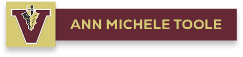 ann michele tool
