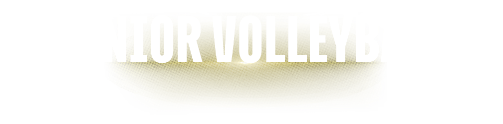 senior volleybal