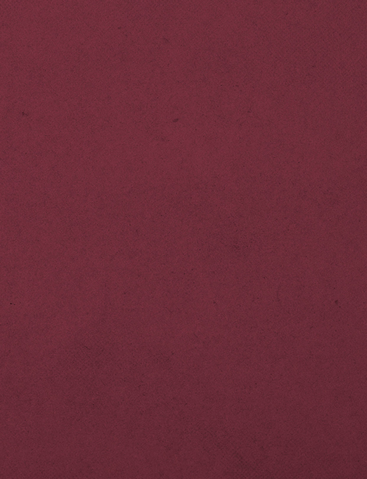 A red carpet with a maroon background. Description generated by AI