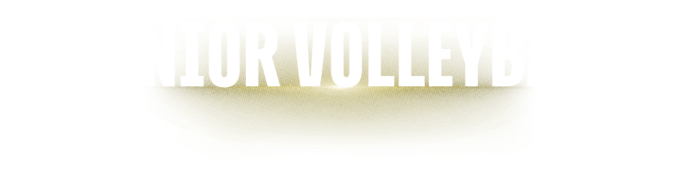 senior volleybal