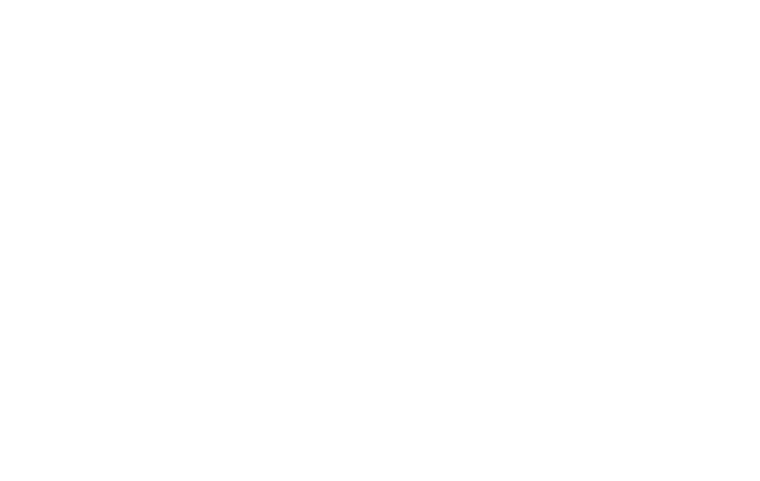 Ann Michele Toole serves as the Cheerleading Program Coordinator and Head Coach of the Competitive and Game Day cheer...