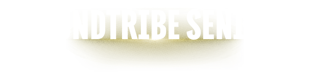 soundtribe senior