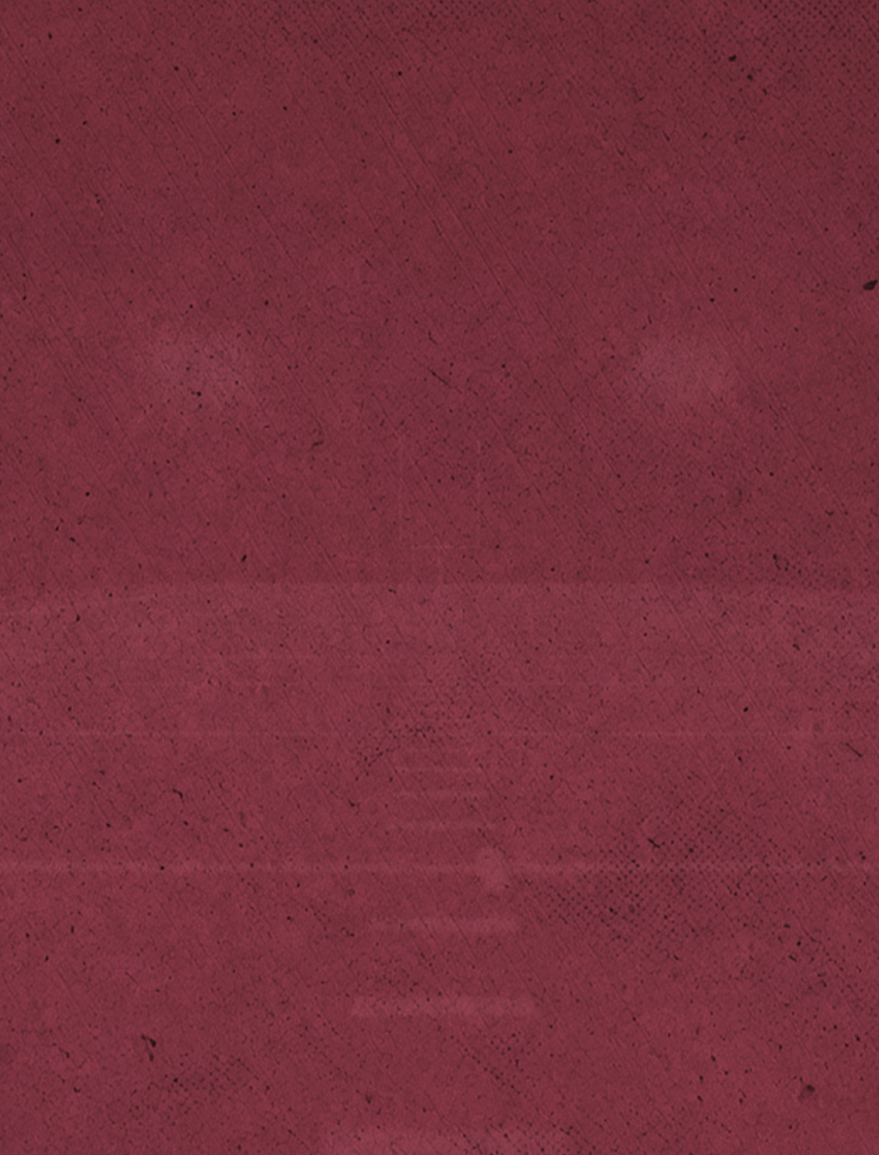 A red background with a white line. Description generated by AI