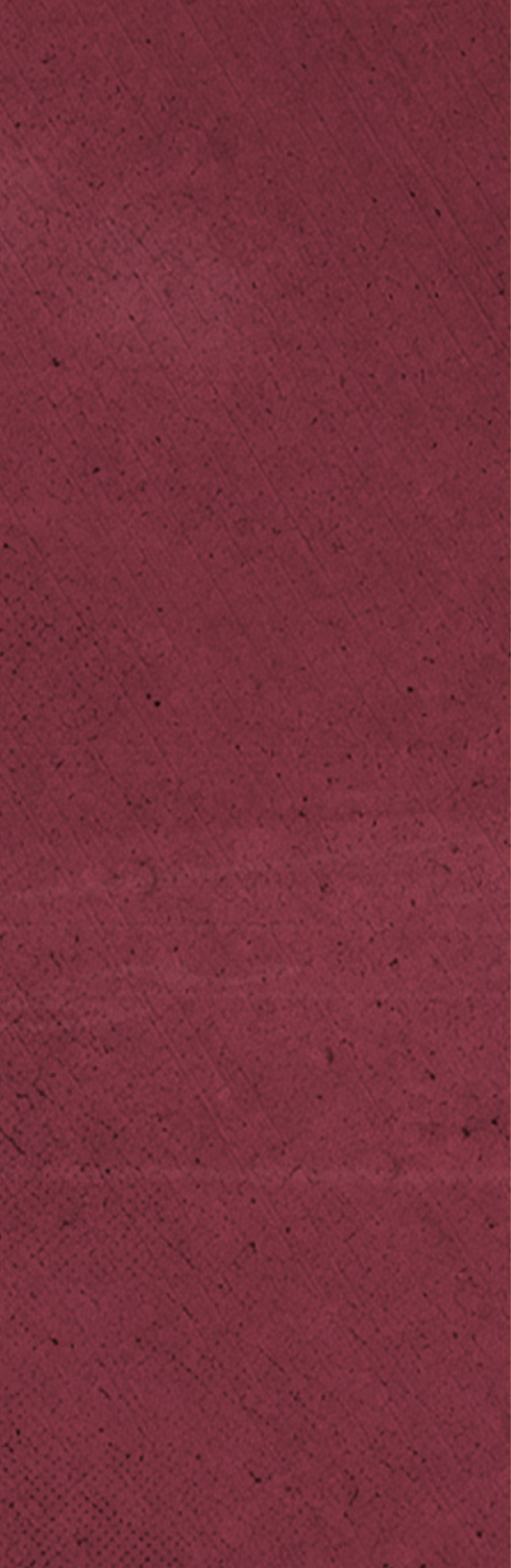 A red background with a white line. Description generated by AI