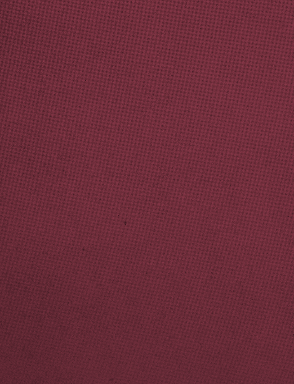 A red carpet with a maroon background. Description generated by AI