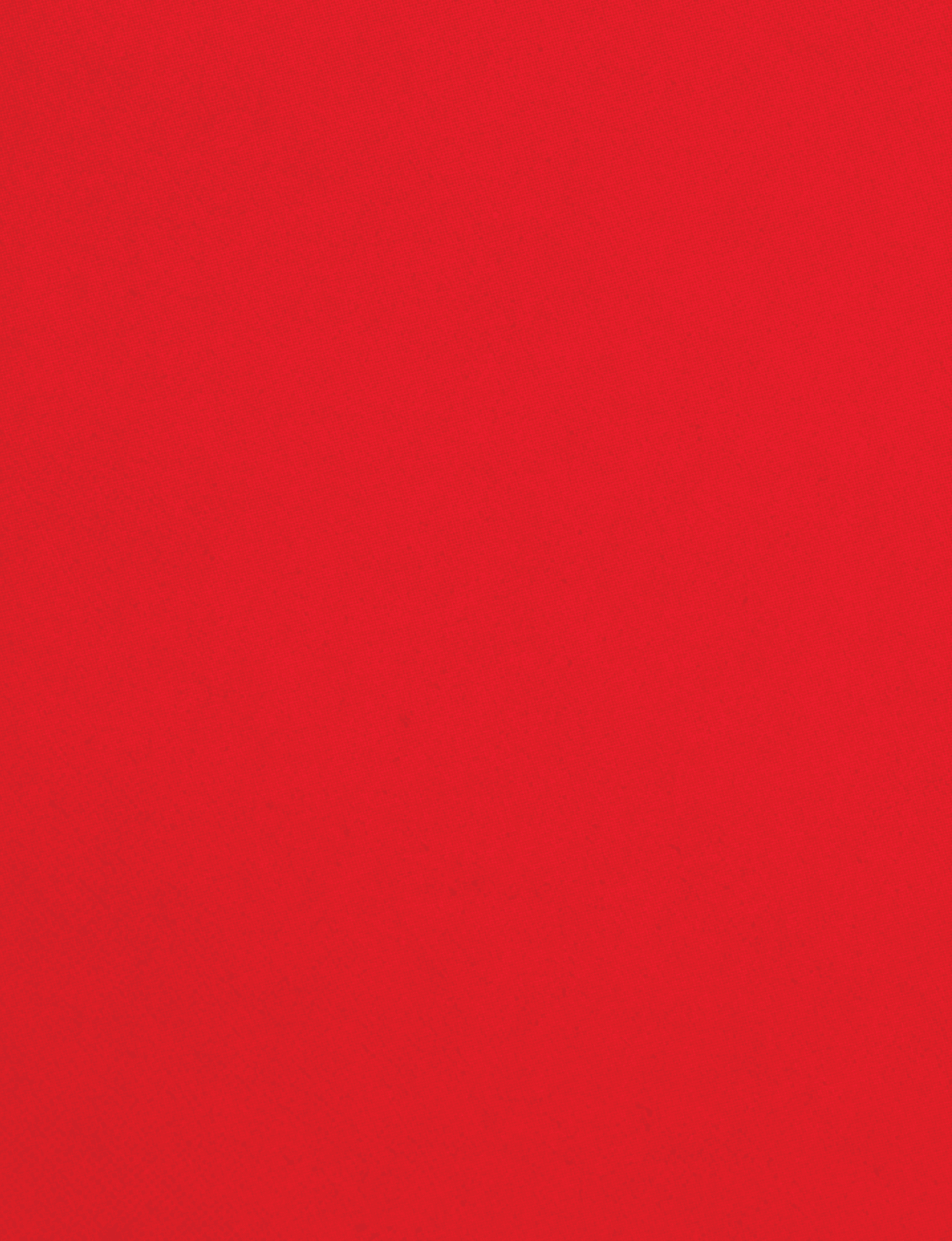 A red cloth with a red border. Description generated by AI