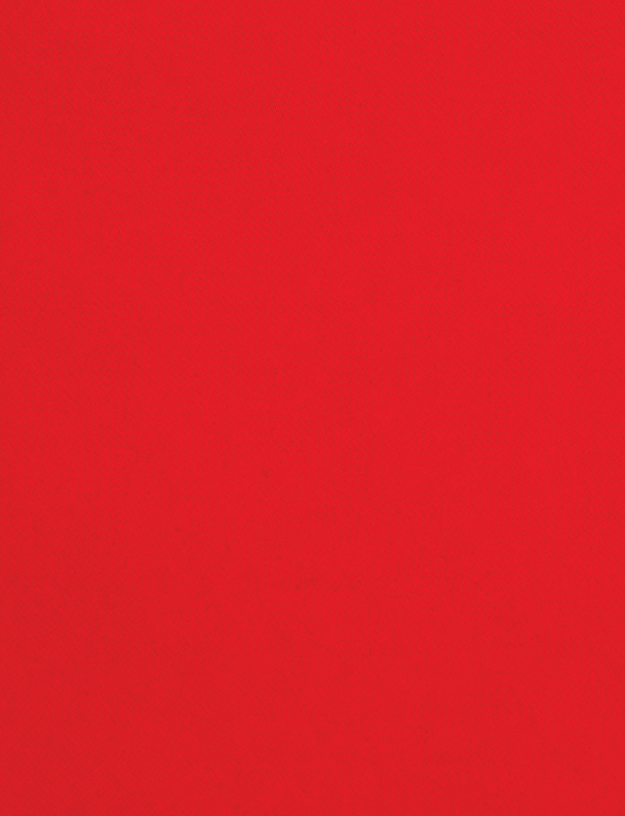 A red cloth with a red border. Description generated by AI