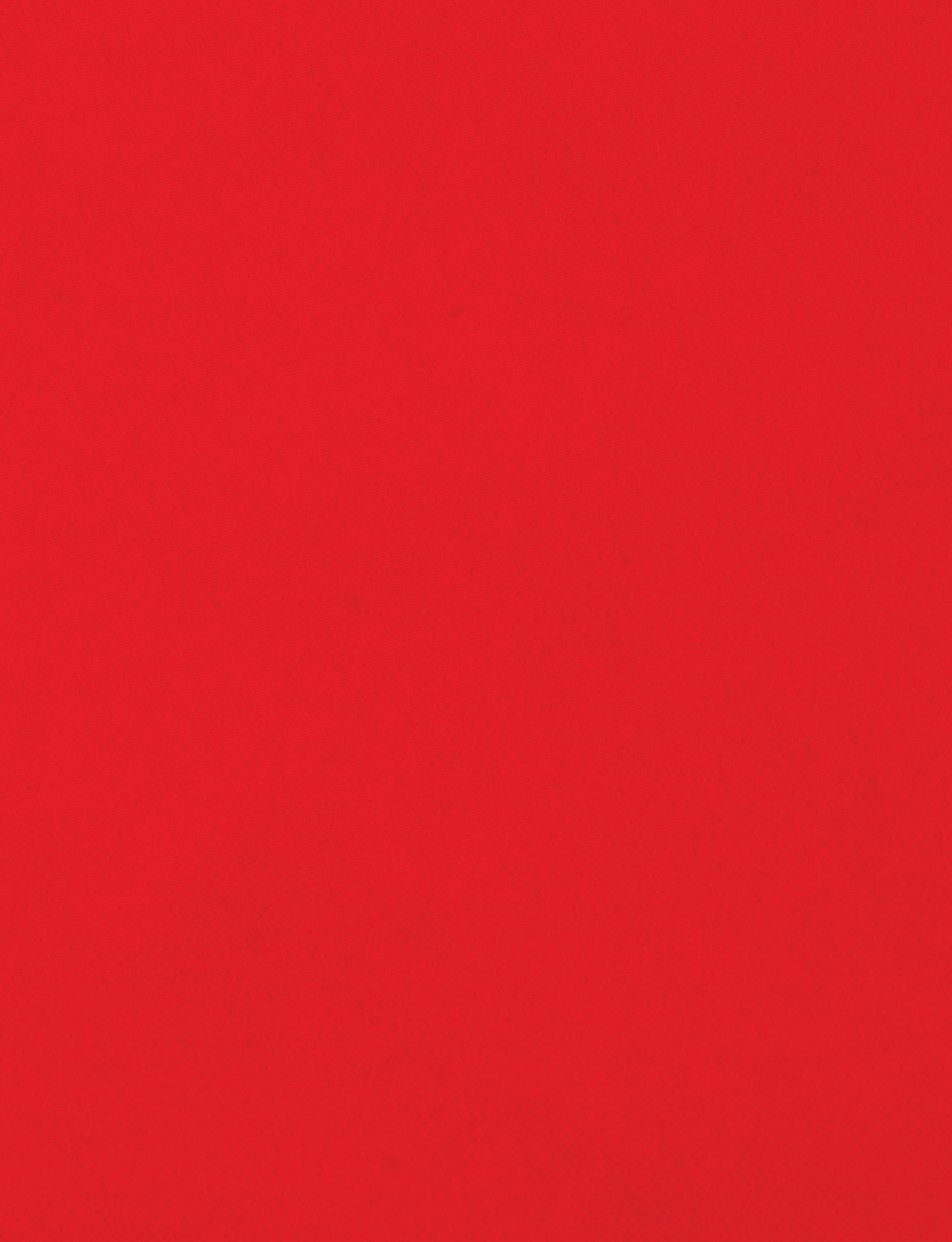 A red cloth with a red border. Description generated by AI