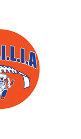 A blue and red logo of a lion. Description generated by AI
