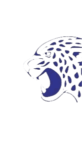 A blue and white logo for Valor. Description generated by AI