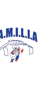 A blue and red logo of a lion. Description generated by AI