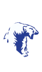 A blue and white logo for Valor. Description generated by AI