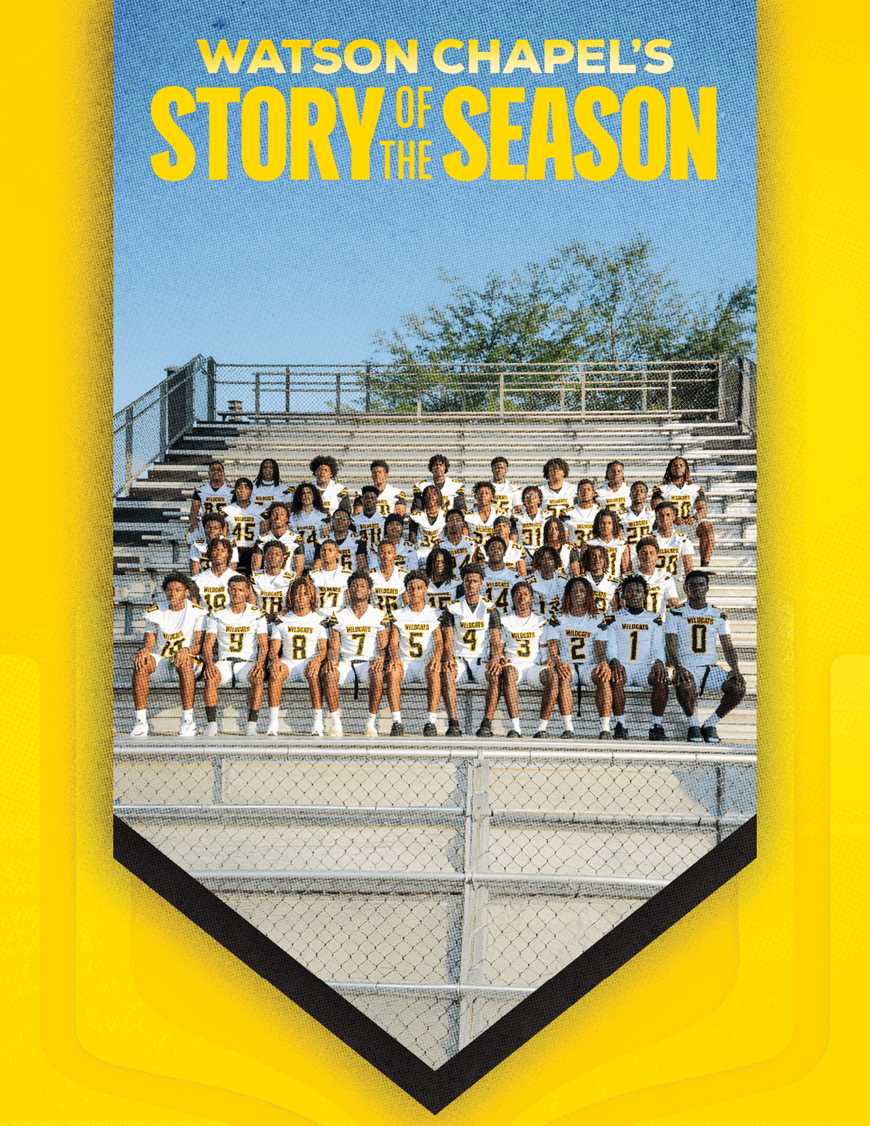 A group of people wearing matching sports uniforms is seated in rows on bleachers under a clear sky with the text Watson Chapel's Story of the Season above them. Descripci n generada con IA