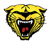 A blue and red logo of a lion. Description generated by AI