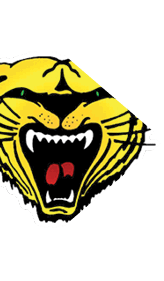 A blue and red logo of a lion. Description generated by AI