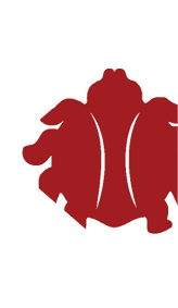 A red abstract shape with curved and angular edges on a white background. Descripci n generada con IA