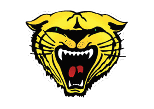 A blue and red logo of a lion. Description generated by AI