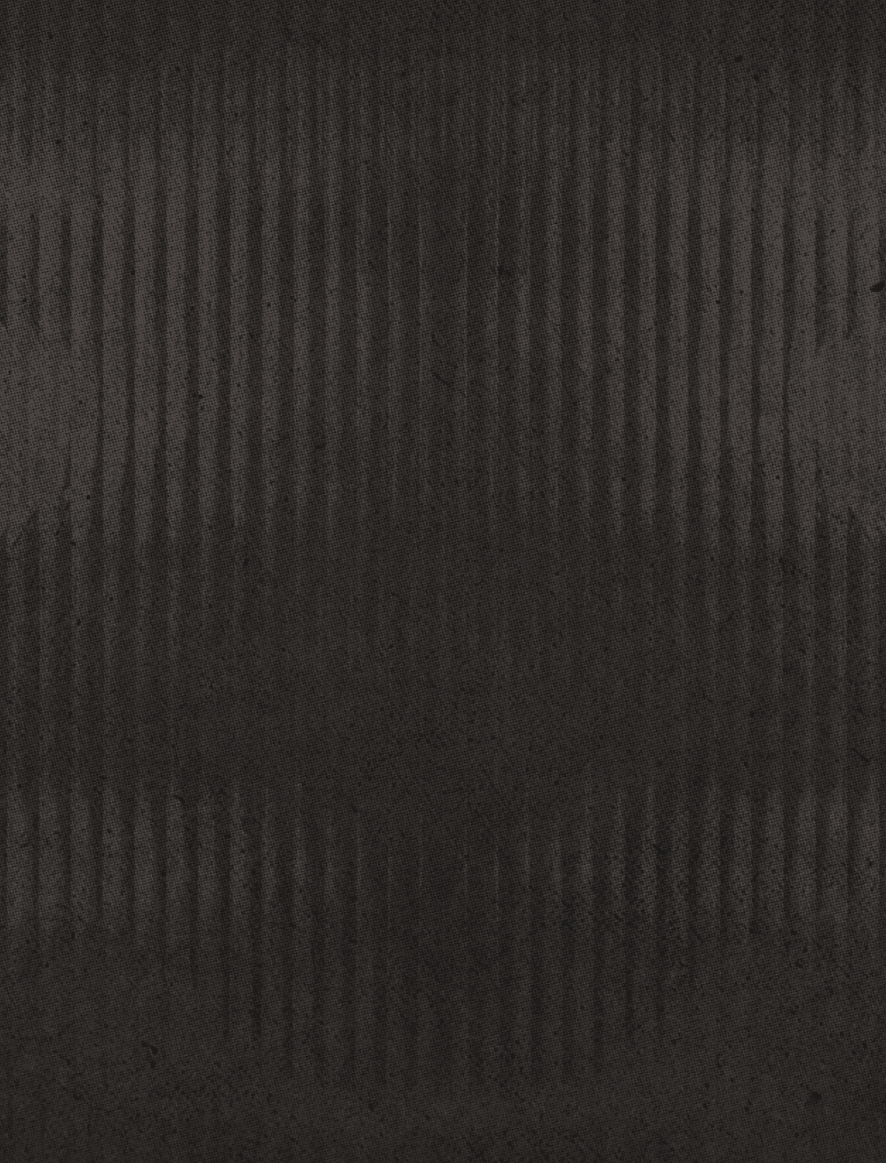 A dark textured surface with vertical ridges creating a subtle striped pattern. Descripci n generada con IA