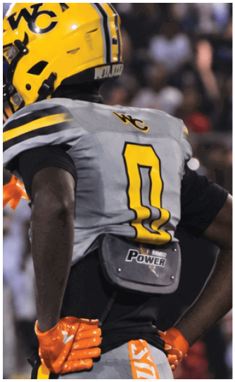 A person wearing a yellow football helmet with black stripes and a gray jersey is on a field with a blurred crowd in the background. Descripci n generada con IA