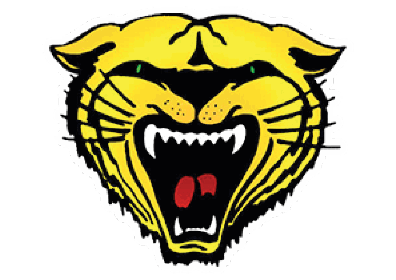A blue and red logo of a lion. Description generated by AI