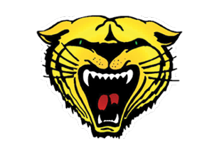A blue and red logo of a lion. Description generated by AI