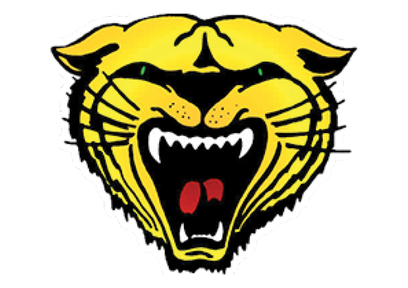 A blue and red logo of a lion. Description generated by AI