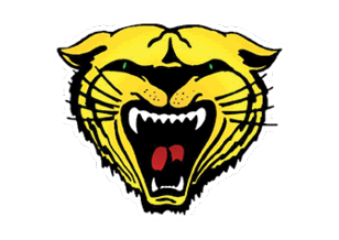 A blue and red logo of a lion. Description generated by AI