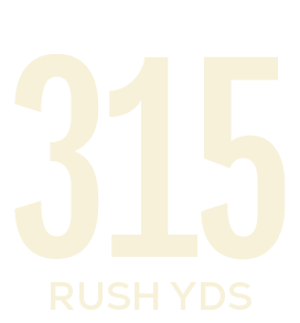 rush yds,31