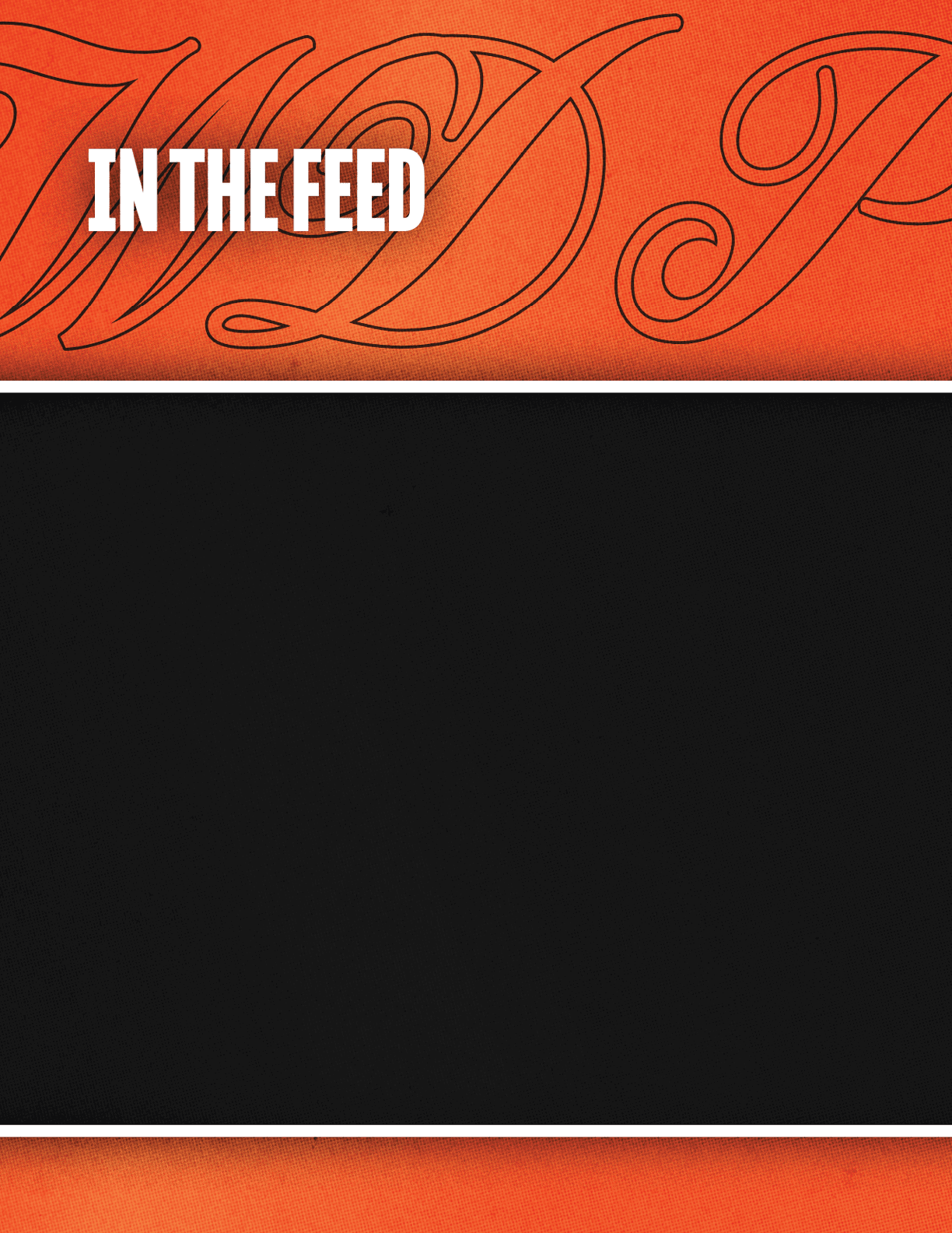 A black and orange background with a white letter W. Description generated by AI