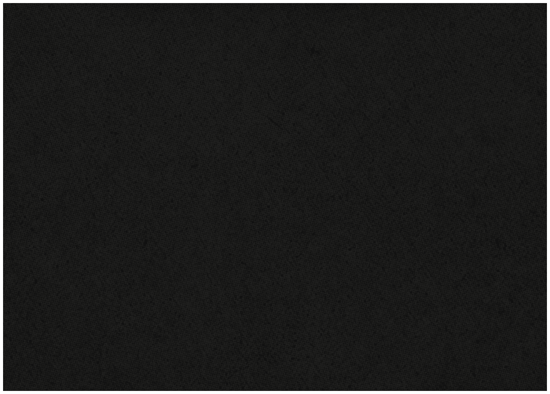 A black and orange striped object. Description generated by AI
