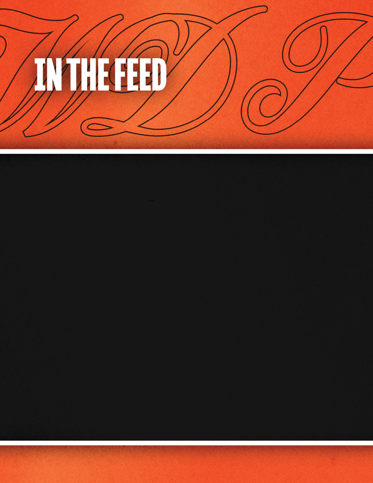 A black and orange background with a white letter W. Description generated by AI