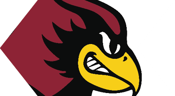 A stylized cartoon bird head with a maroon crest, black face, and a yellow beak showing a toothy grin. Description generated by AI