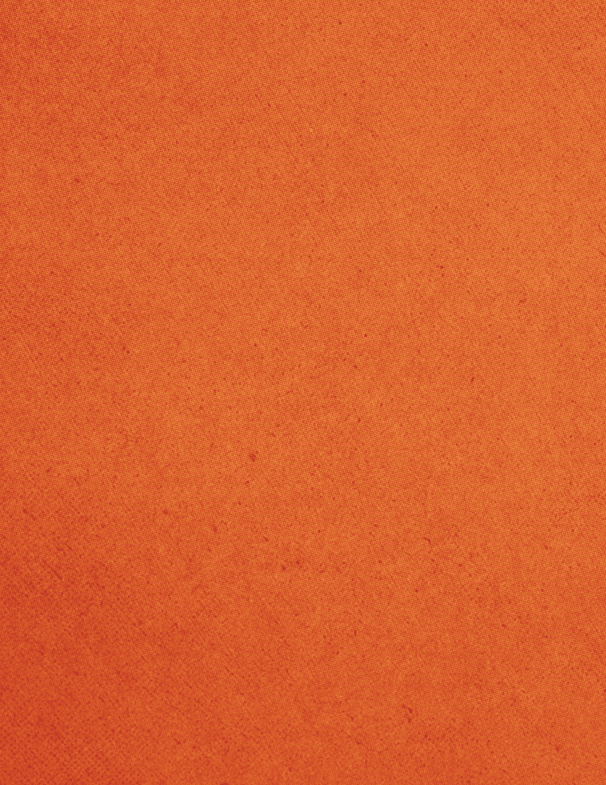 A solid textured orange background with subtle variations in shading. Description generated by AI