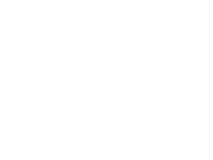 GRIFFIN Borowicz 