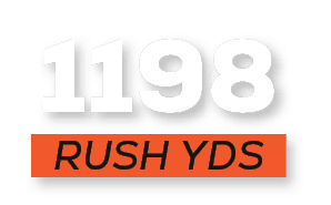 RUSH YDS,119