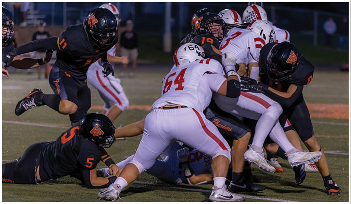 Several people in football uniforms are engaged in a tackle on a grassy field during a game. Description generated by AI