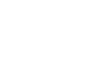 BRANDT Van Ess 