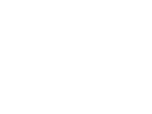 BRODEE Conlon 