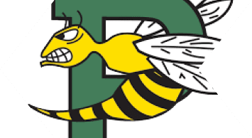 A stylized yellow and black striped wasp with an angry expression is flying in front of a large green letter P. Description generated by AI