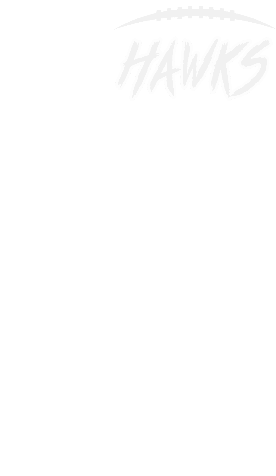 A logo for Dons football. Description generated by AI