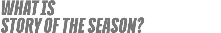 What is Story of the Season?