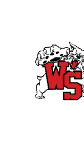 A fierce cartoon wildcat with an open mouth and sharp teeth is positioned behind large red and black stylized letters. Descripci n generada con IA