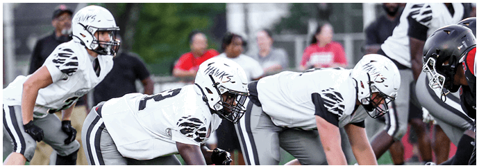 People in white and gray football uniforms are lined up on a grassy field preparing for a play. Descripci n generada con IA